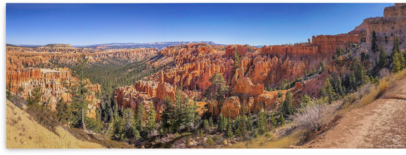Bryce Canyon Panorama by THOMAS PATRICK KENNEDY