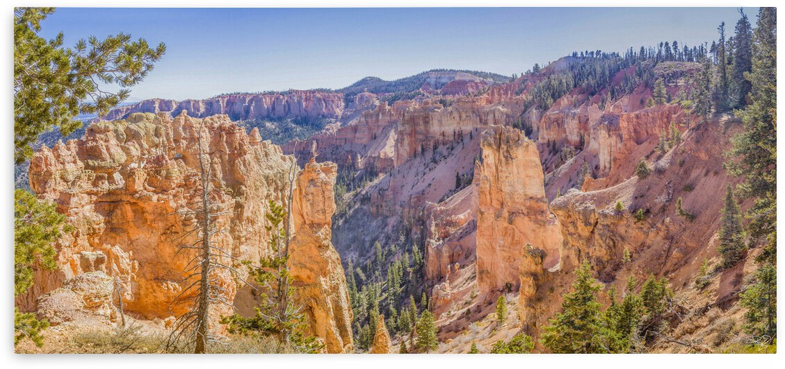 Bryce Canyon Autumn Colors by THOMAS PATRICK KENNEDY