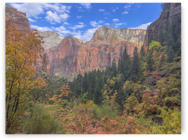 Zion National Park  Utah in Autumn by THOMAS PATRICK KENNEDY