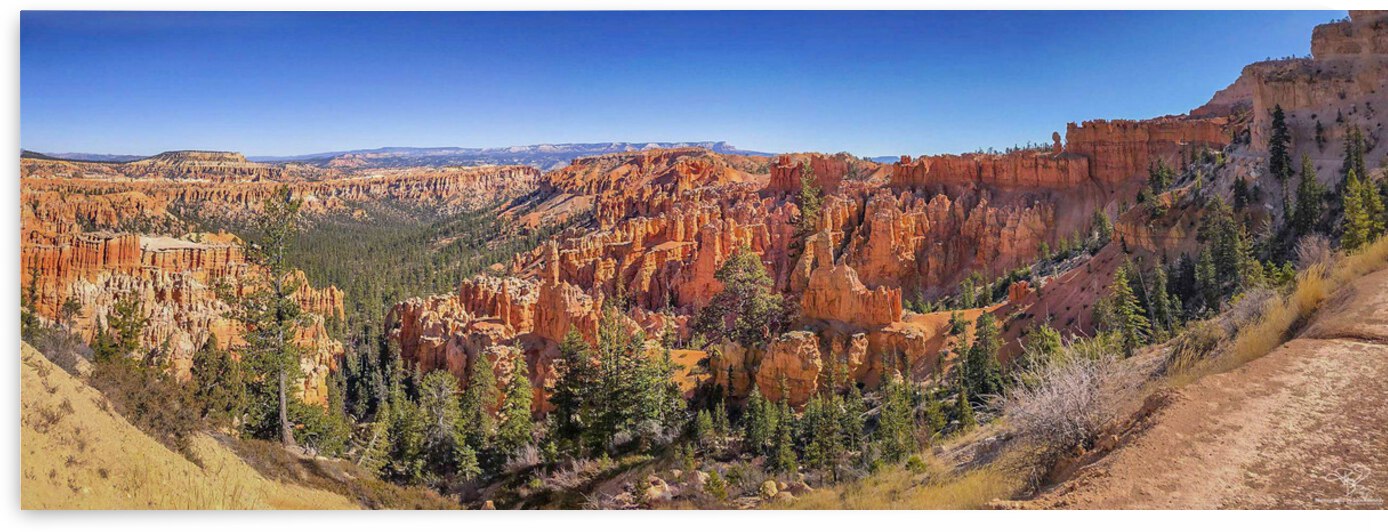 Bryce Canyon Panorama by THOMAS PATRICK KENNEDY