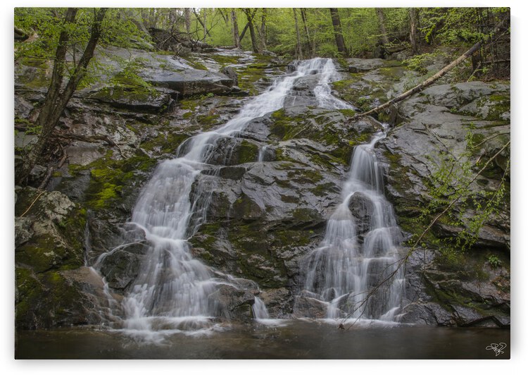 Black Rock Forest Waterfall by THOMAS PATRICK KENNEDY