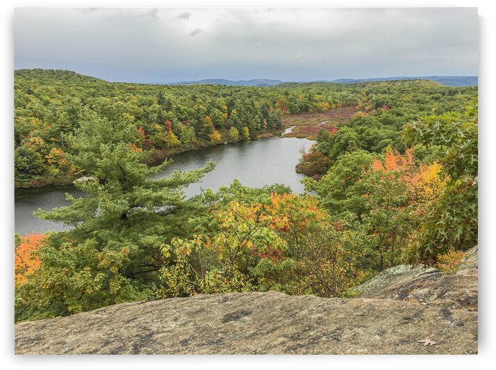 Sutherland Pond  Black Rock Forest  NY by THOMAS PATRICK KENNEDY