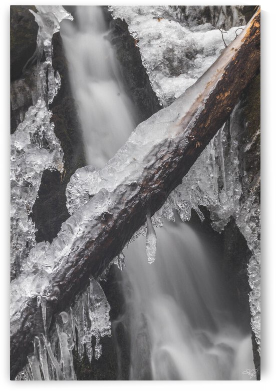Winter Solace 9 by THOMAS PATRICK KENNEDY