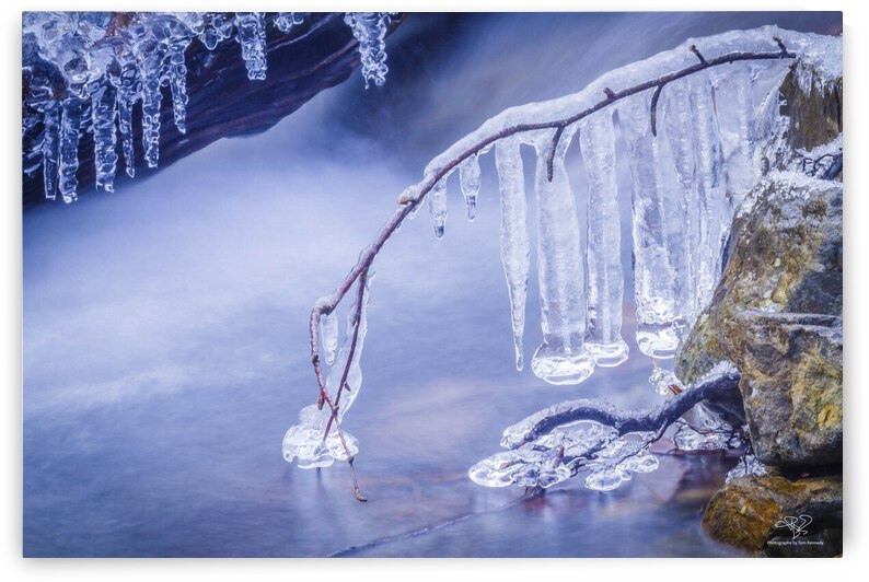 Ice Dreams by THOMAS PATRICK KENNEDY