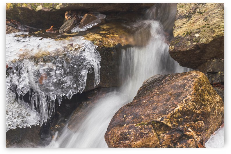 Winter Solace 14 by THOMAS PATRICK KENNEDY