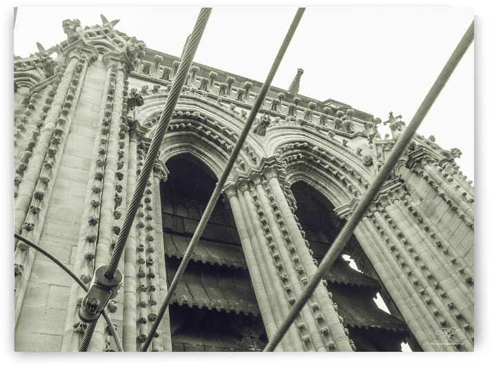 The Towers of Notre Dame V by THOMAS PATRICK KENNEDY