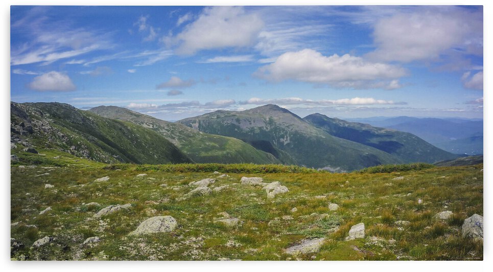 The Presidentials  New Hampshire by THOMAS PATRICK KENNEDY
