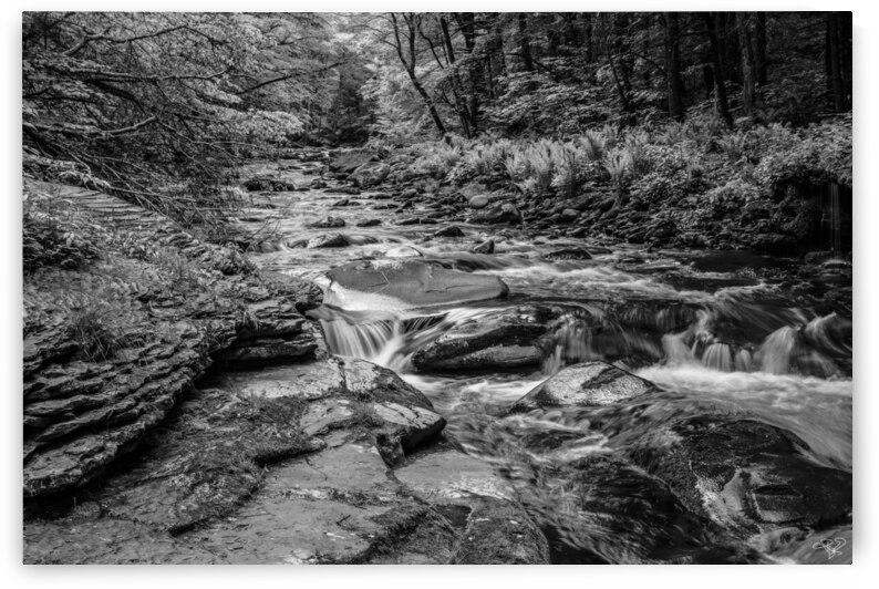 Cascades at the Peekamoose Blue Hole Sundown State Park  Denning  NY BW by THOMAS PATRICK KENNEDY