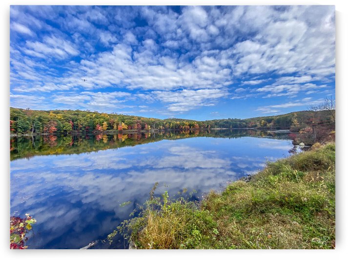 The Clouds Have Spoken by THOMAS PATRICK KENNEDY
