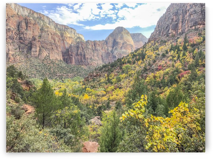 Zion National Park Flowers by THOMAS PATRICK KENNEDY