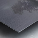 First Frost Metal print