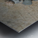 Acadia Zen Metal print
