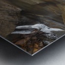 Winter Solace 2 Metal print