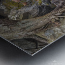 Black Rock Roots Metal print