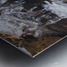 Winter Solace 12 Metal print