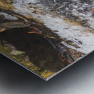 Winter Solace 14 Metal print