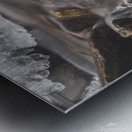Winter Solace 1 Metal print
