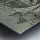 The Lonely Observer V Metal print