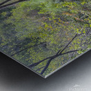 Happy Trails Metal print