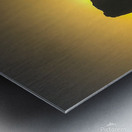 Mittens at Sunset Metal print