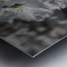Spring has Sprung Metal print
