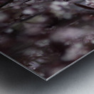 Sand Cherry Blossoms Metal print
