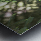Evergreen Blossoms Metal print