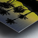 Palms at Dawn Reflections Metal print