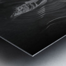 Swirling Shadows BW Metal print