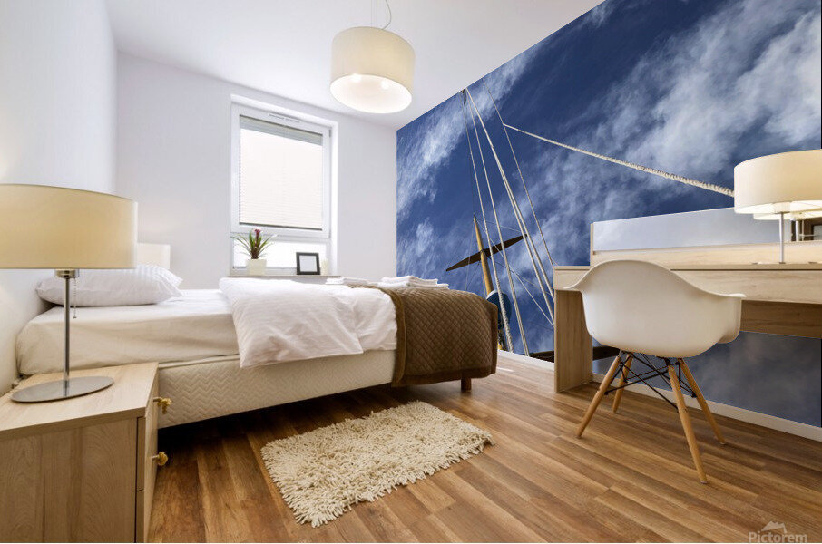 Skyward Mural print