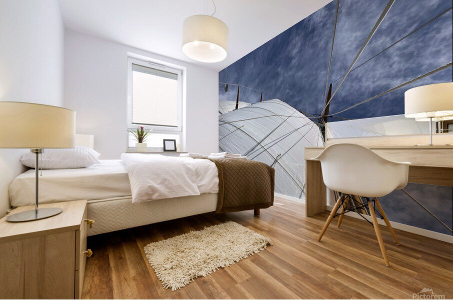Sails Catching the Wind Mural print