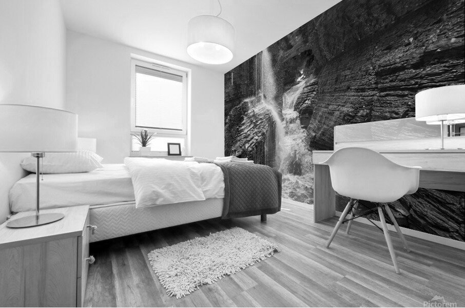 Watkins Glen Mural print