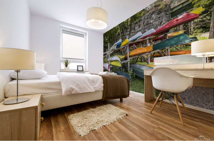 Kayaking Anyone Mural print