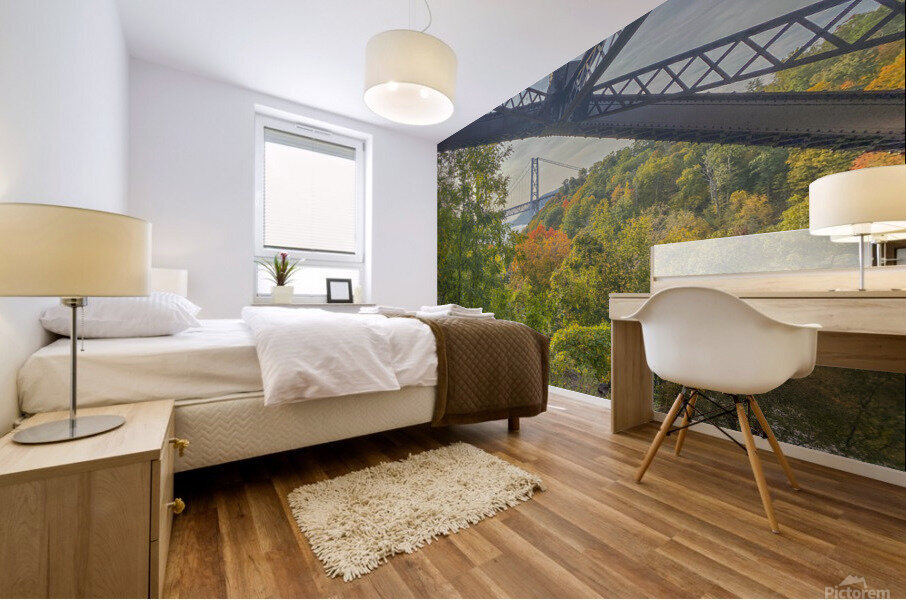 Bear Mountain Bridges Mural print