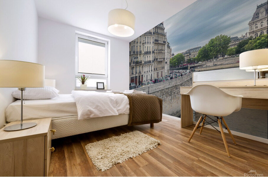 Ile de la Cite Mural print