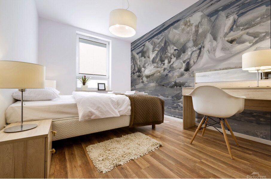 Hudson River Ice Pack 2 Mural print