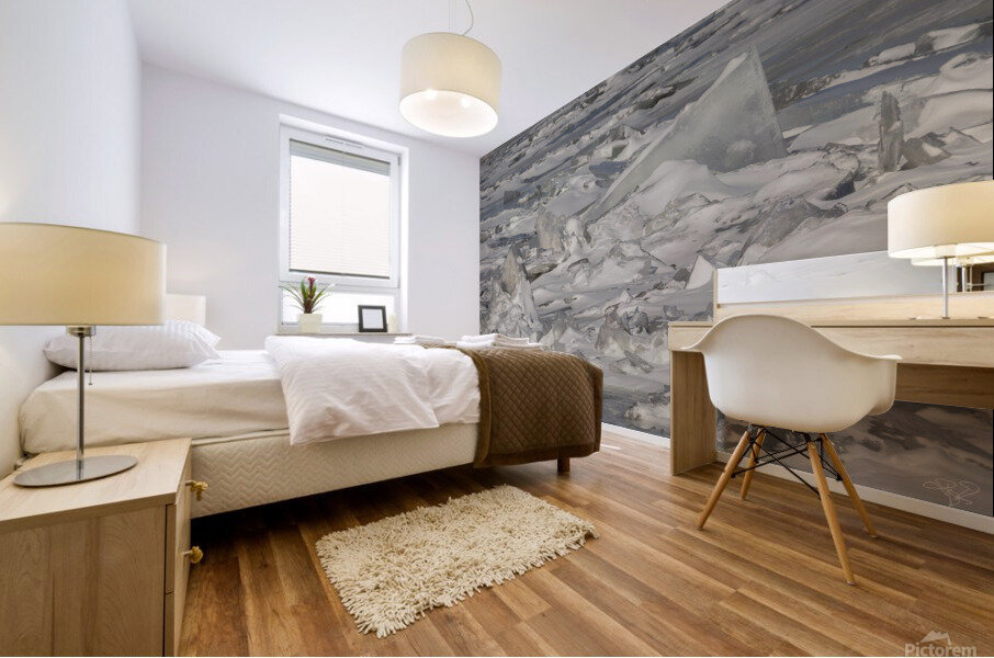 Hudson River Ice Pack Mural print