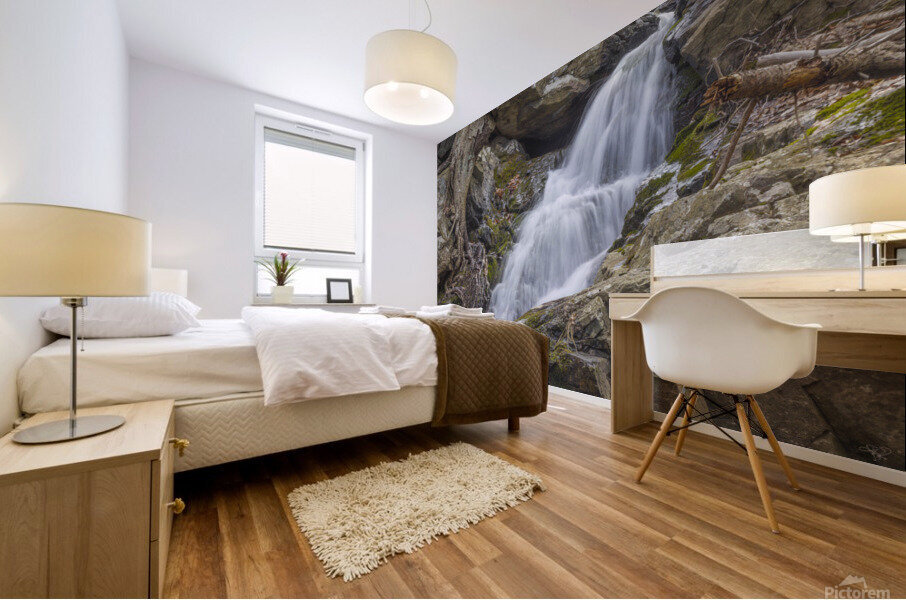 Black Rock Roots Mural print