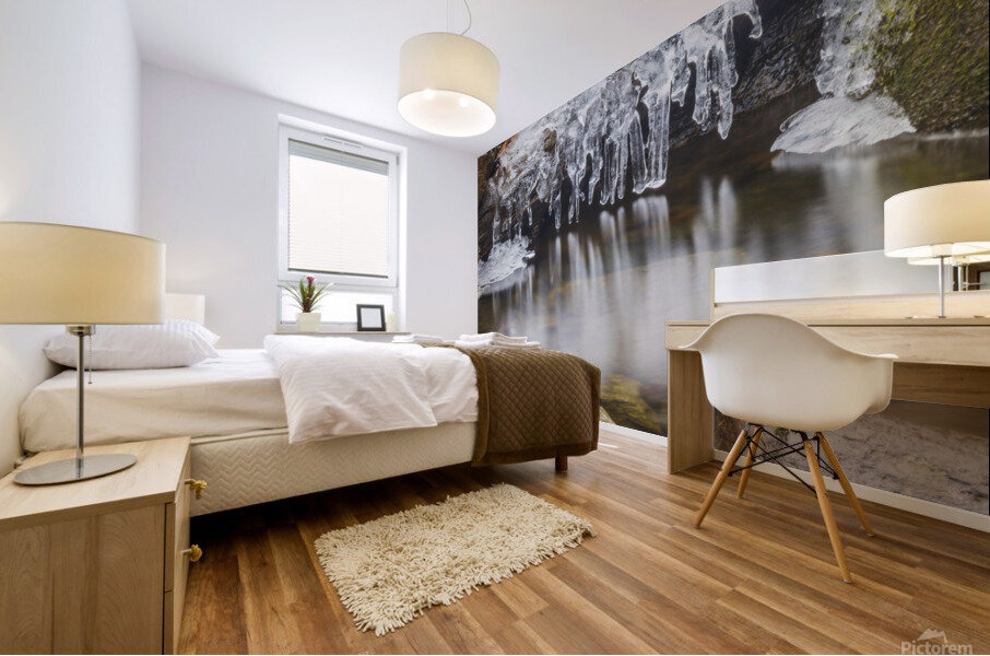 Winter Solace 12 Mural print