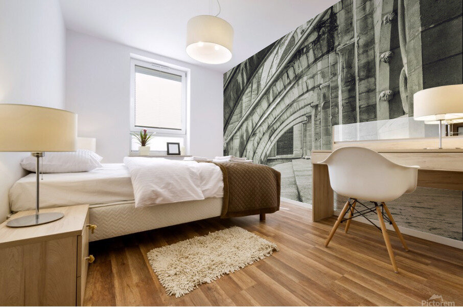 Buttresses V Mural print