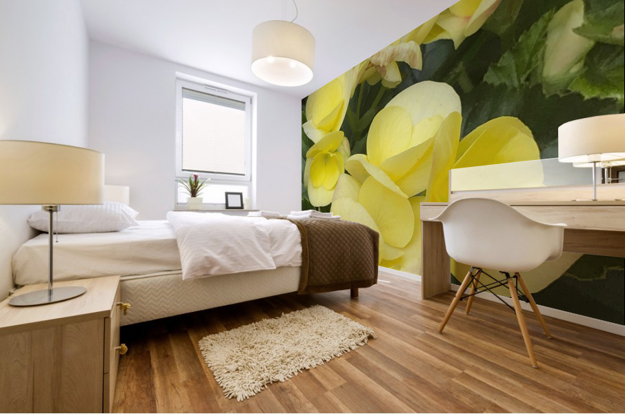 Yellow Begonias Mural print