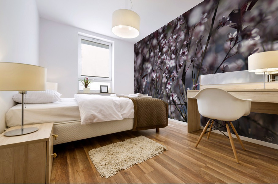 Sand Cherry Blossoms Mural print