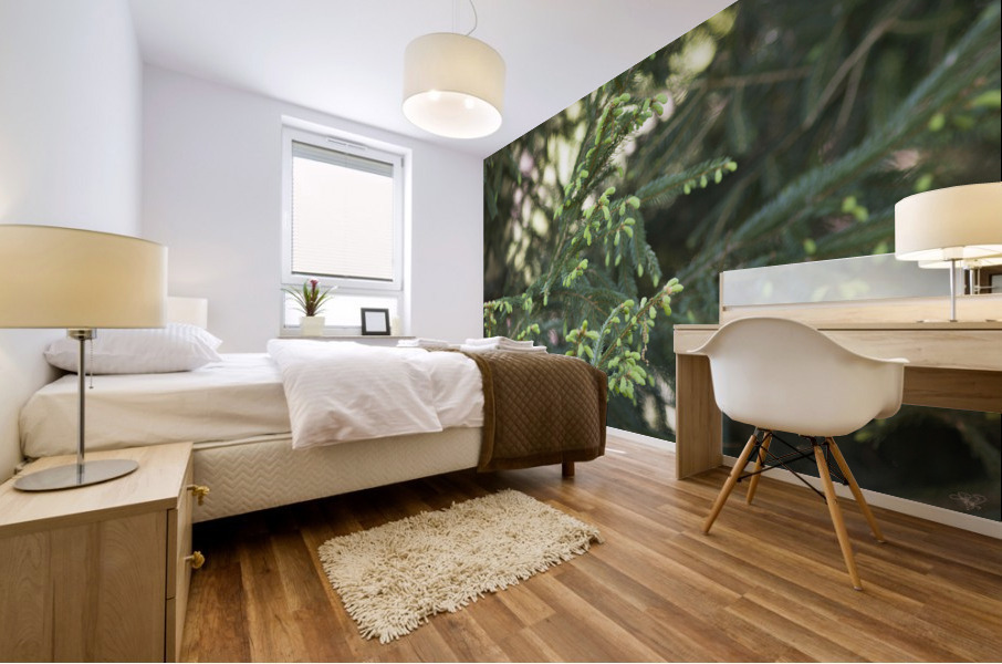 Evergreen Blossoms Mural print