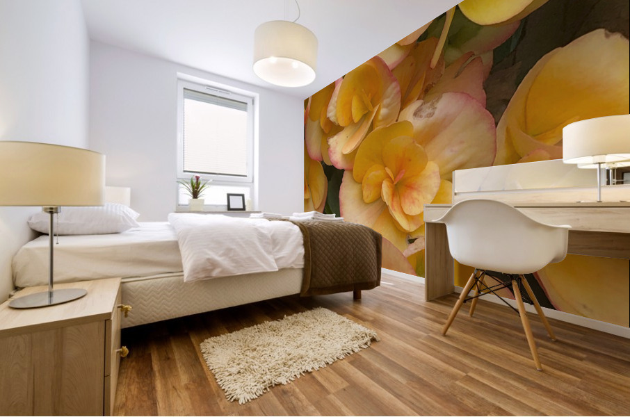 Orange Begonias Mural print