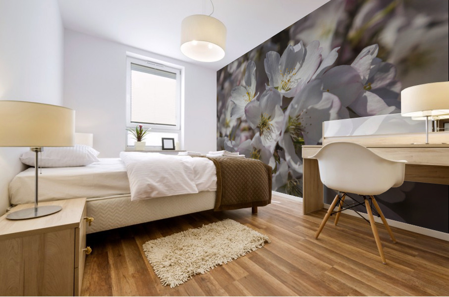 Spring Blossoms Mural print