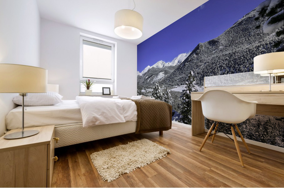 Snowscape Mural print