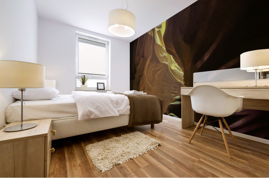 Swirling Shadows Mural print