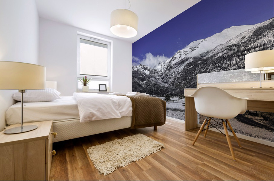 Mountain Meadows Mural print