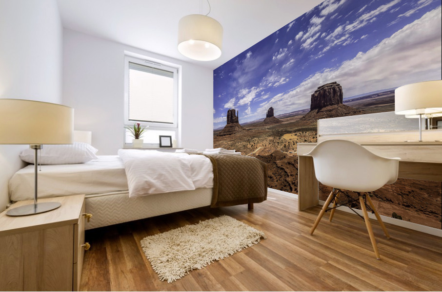 Monument Mittens Mural print