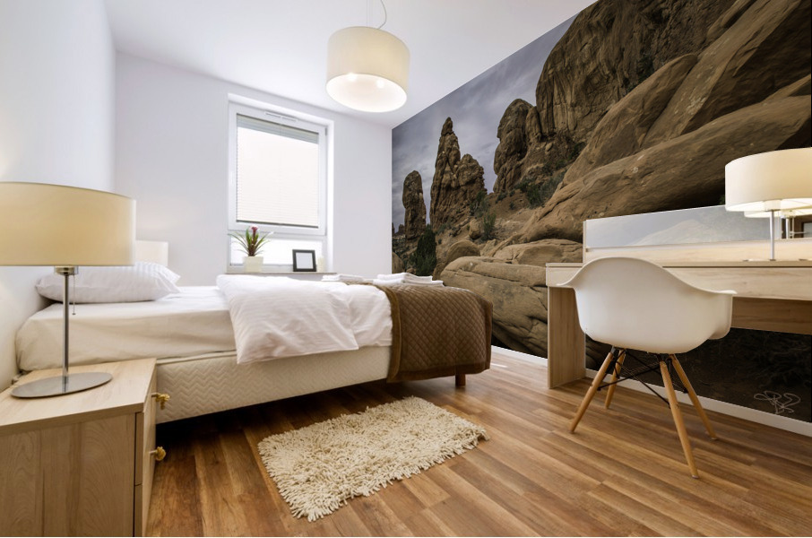 Arches Rockfall Mural print